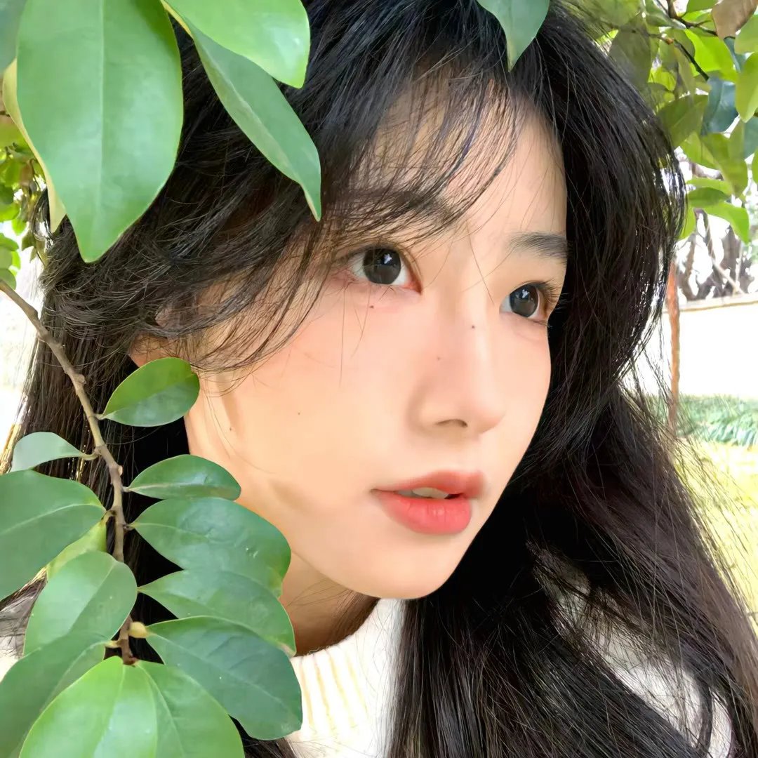 梦破红尘