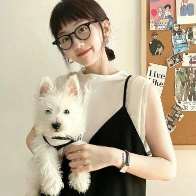 年度鸟事